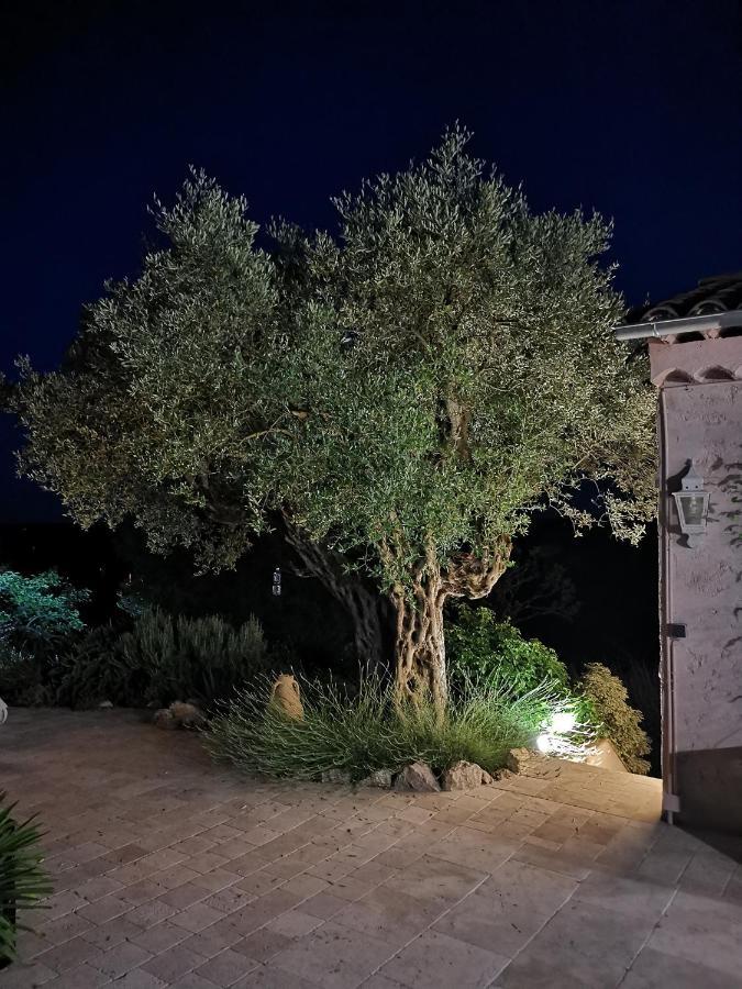 Le Nid Des Arts Bed and Breakfast Tourrettes Εξωτερικό φωτογραφία