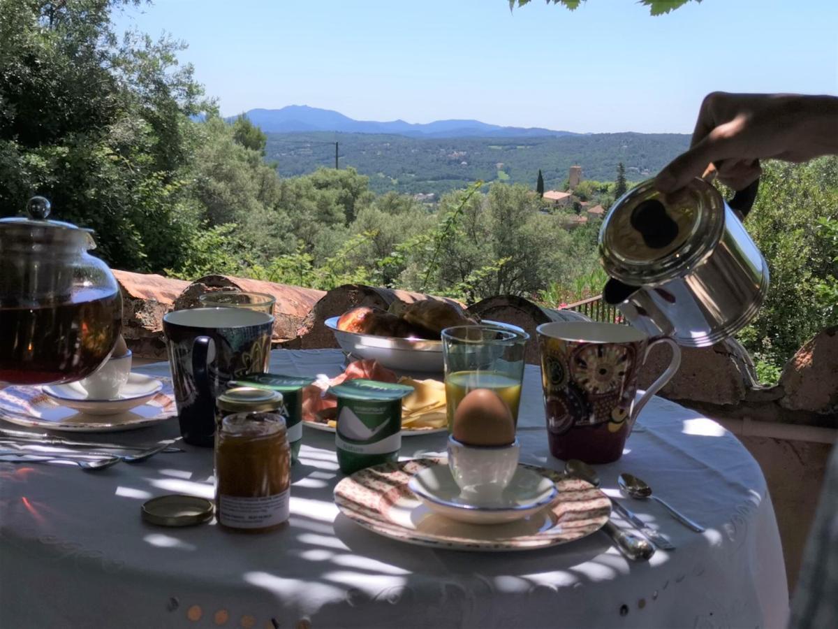 Le Nid Des Arts Bed and Breakfast Tourrettes Εξωτερικό φωτογραφία