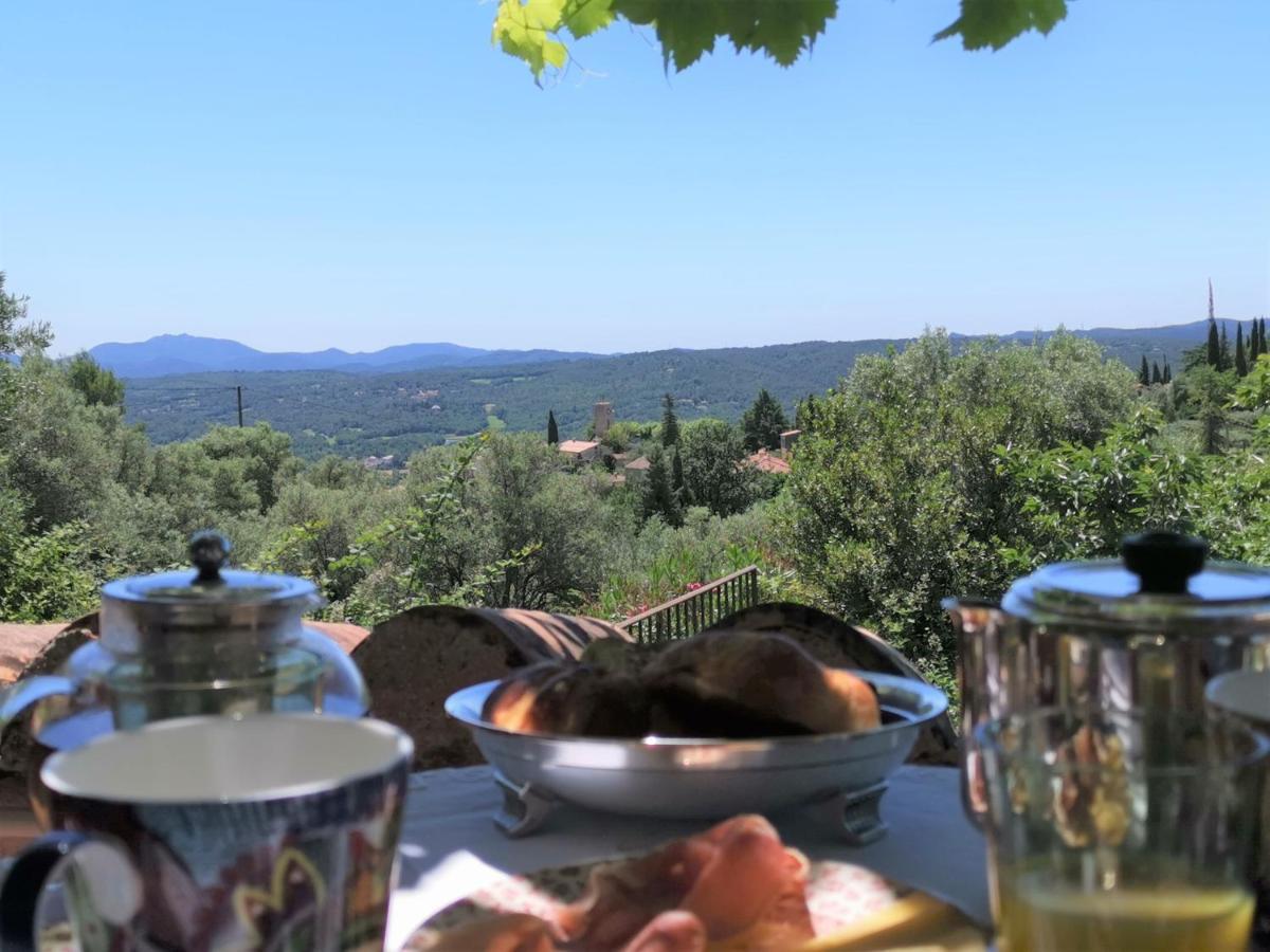 Le Nid Des Arts Bed and Breakfast Tourrettes Εξωτερικό φωτογραφία