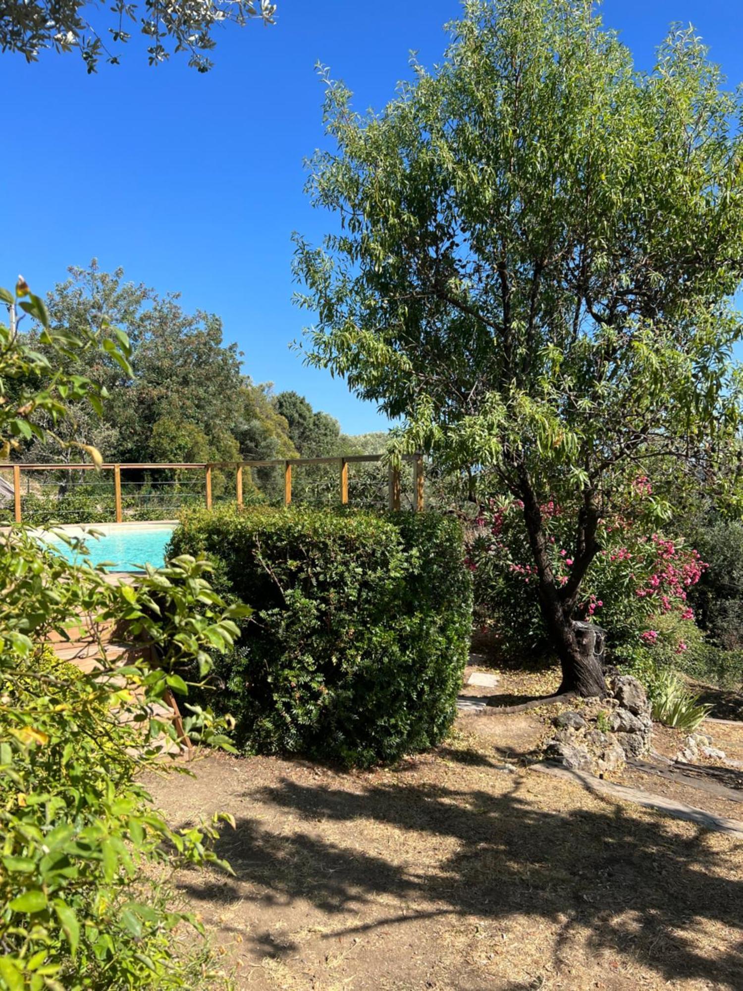 Le Nid Des Arts Bed and Breakfast Tourrettes Εξωτερικό φωτογραφία